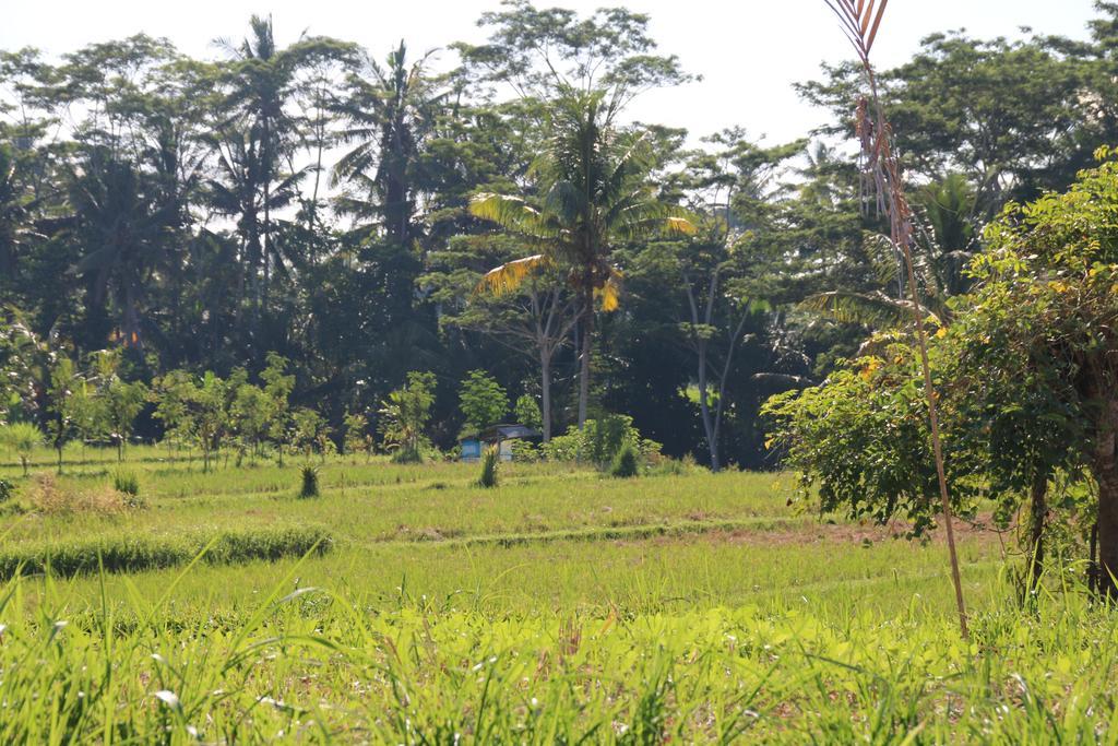 Pesantian Villa And Warung Ubud Exterior foto